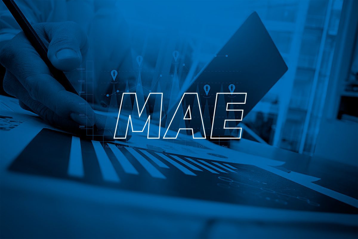 Você sabe o que é a MAE da Wiz?